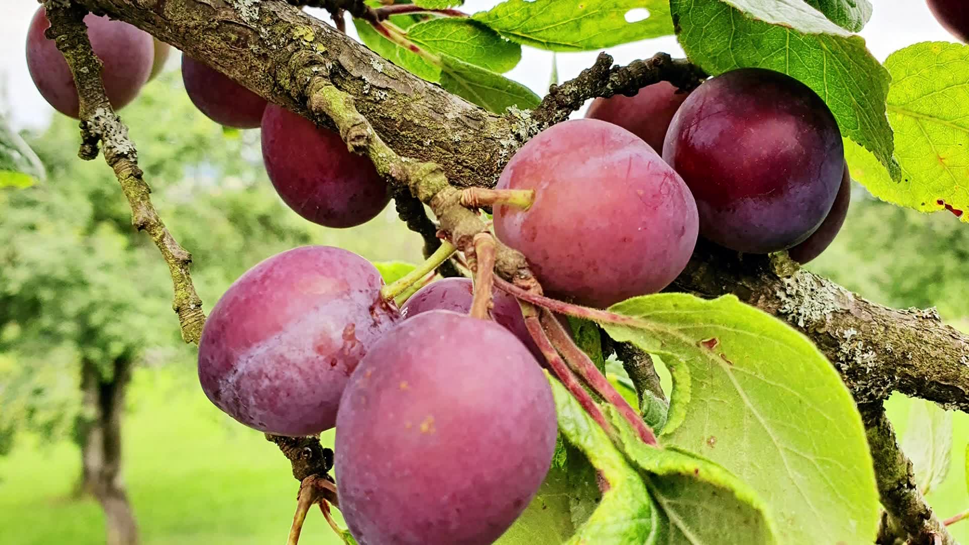 Produktabbildung 2