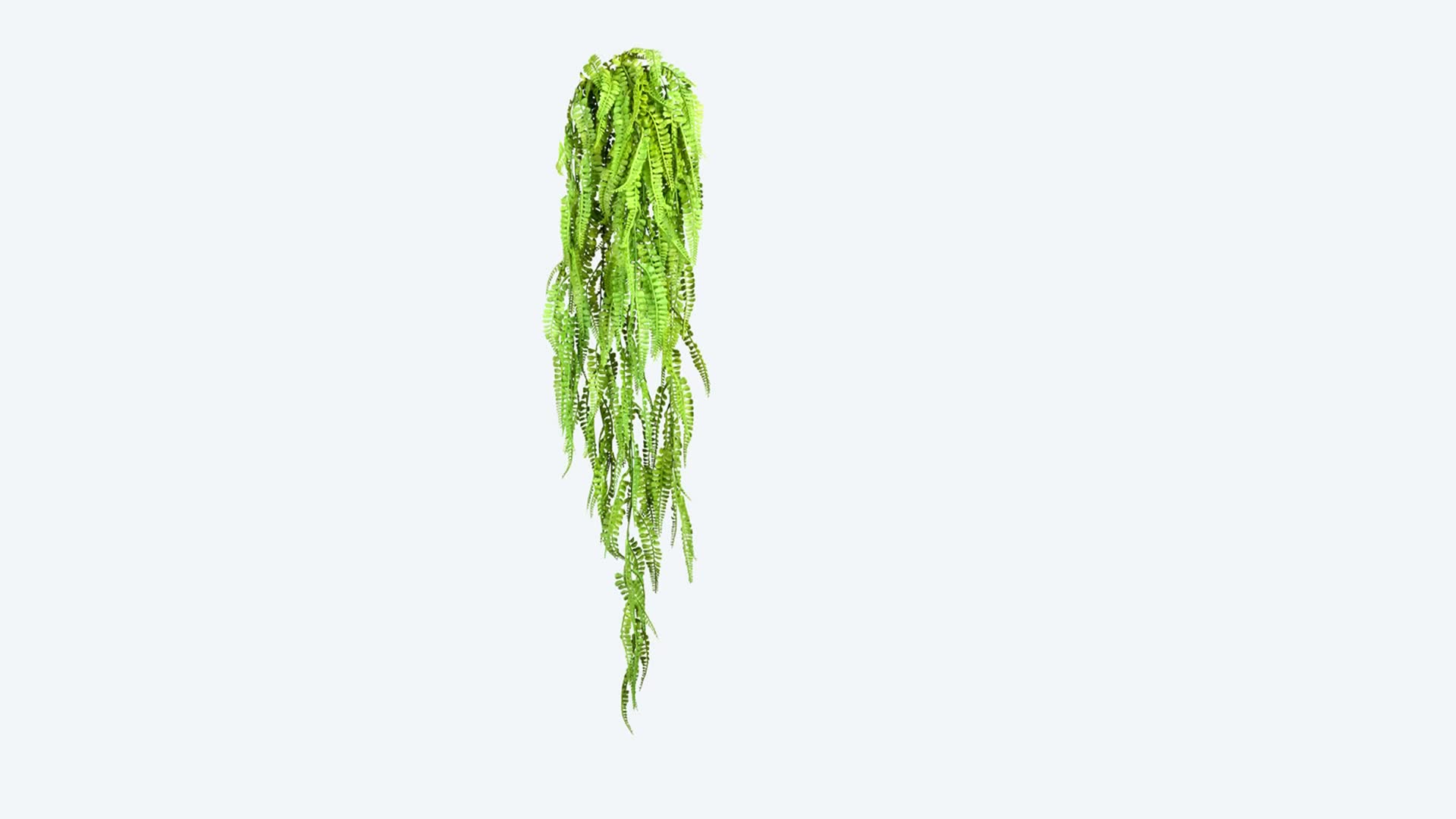 Produktabbildung 2