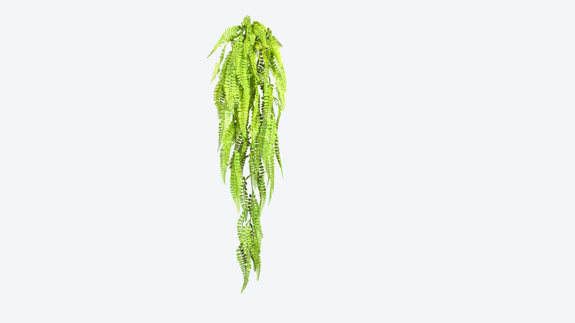 Produktabbildung 2