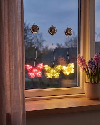 Produktabbildung 1 für LED-Schmetterlinge mit Saugnapf, 3tlg.