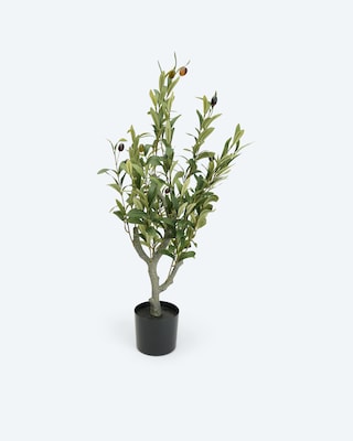 Produktabbildung 3 für Kunstpflanze Olivenbaum