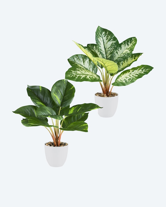 Kunstpflanzen-Set Dieffenbachia/Philodendron, 2tlg.