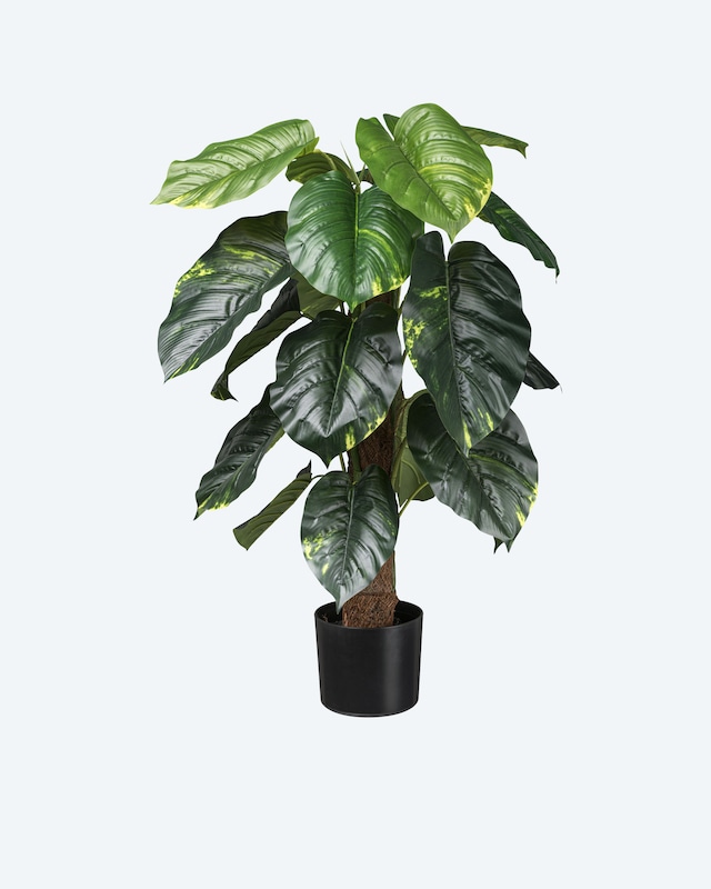 Kunstpflanze Philodendron scandens
