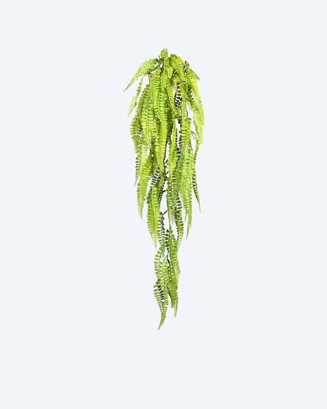Adianthumhänger, 80 cm