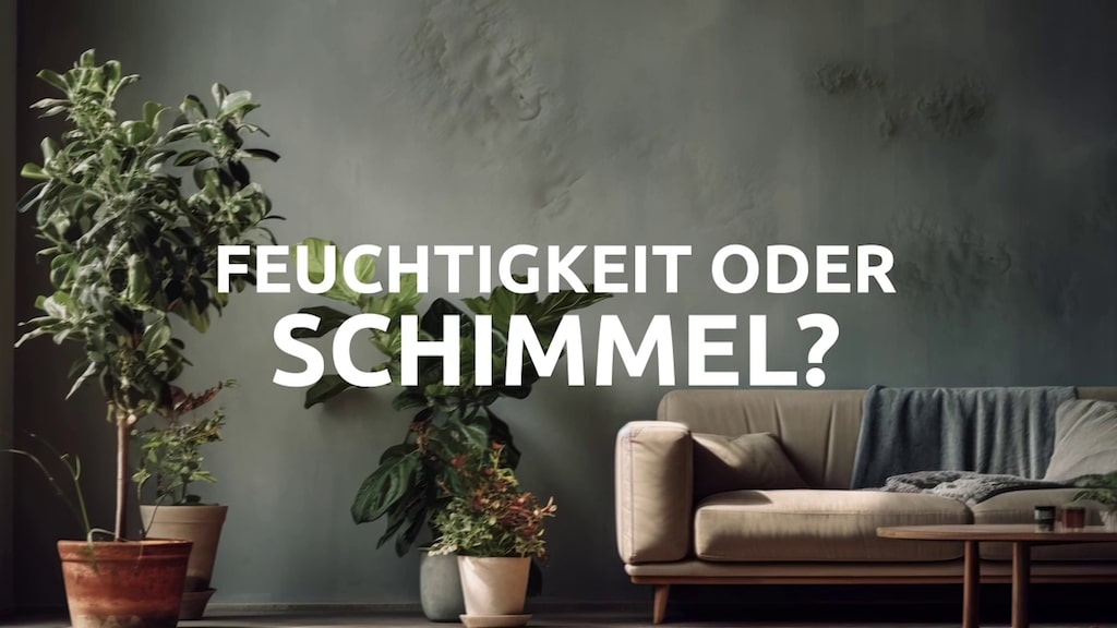 Produktabbildung 5